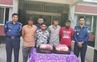 বাসাইলে ১০ কেজি গাঁজাসহ আটক ৪