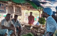 বাসাইলে বাজার মনিটরিংয়ে শিক্ষার্থীরা