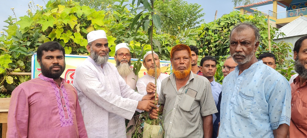 কাঞ্চনপুরে জামায়াতে ইসলামীর বৃক্ষ রোপন কর্মসূচির উদ্বোধন