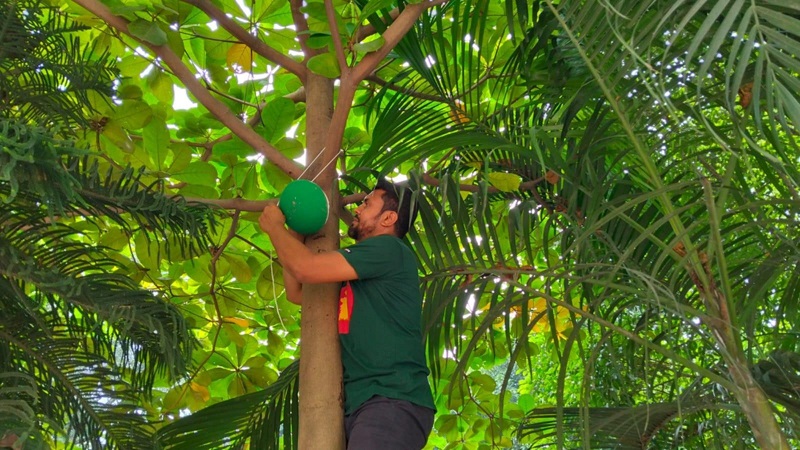 টাঙ্গাইলে পাখিদের নিরাপদ আশ্রয়ের জন্য গাছে গাছে মাটির হাঁড়ি স্থাপন