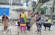 মির্জাপুরে পুলিশ সদস্যের বিরুদ্ধে সংখ্যালঘু পরিবারের বসতবাড়ি ভেঙে দিয়ে উচ্ছেদের অভিযোগ