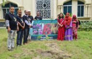 বাসাইল উপজেলা প্রশাসনের বৃক্ষরোপন কর্মসূচি পালন