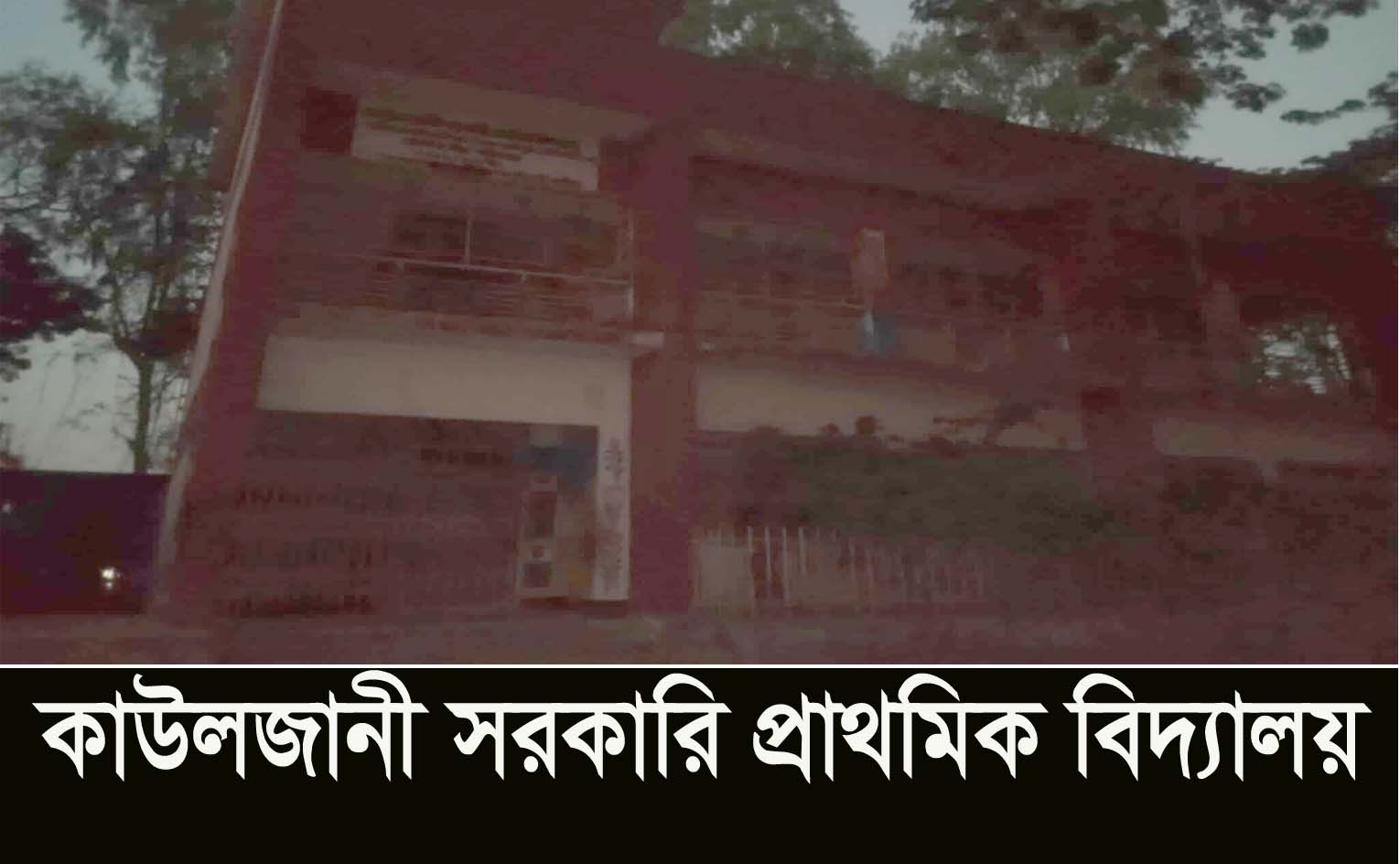 বাসাইলে প্রাথমিক বিদ্যালয়ের প্রধান শিক্ষকের বিরুদ্ধে পরীক্ষার ফি নেওয়ার অভিযোগ; শোকজ