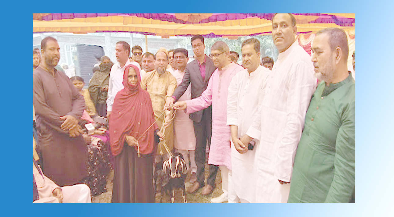 বাসাইলের ফুলকিতে হত-দরিদ্রদের মাঝে বিনামূল্যে ছাগল বিতরণ