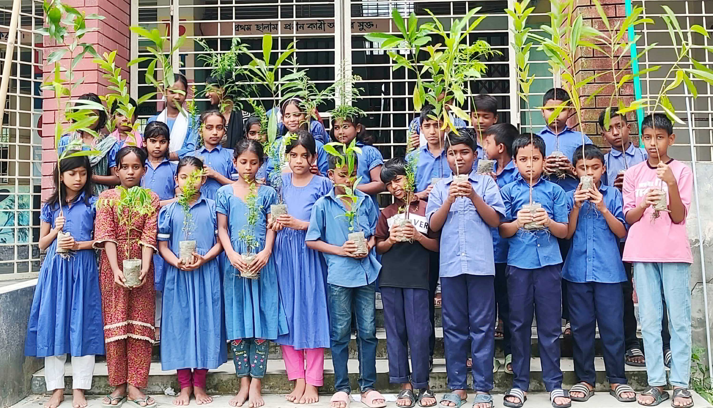জলবায়ু পরিবর্তন মোকাবিলায় বাতিঘর আদর্শ পাঠাগারের উদ্যোগে গাছের চারা বিতরণ