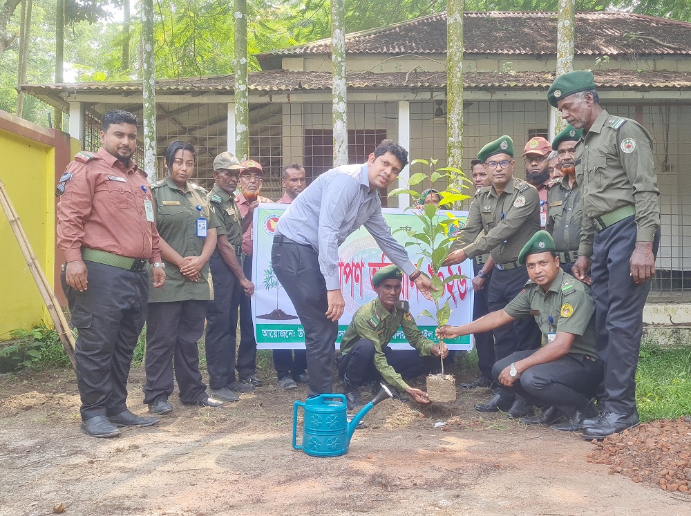 বাসাইলে আনসার ও ভিডিপি’র উদ্যোগে বৃক্ষরোপণ অভিযান